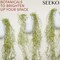 Succulents Extra Large Spanish Moss (3pck, 33" Long) - Fake Moss for Crafts